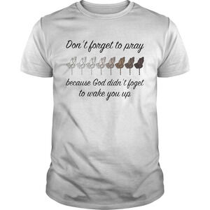 Dont Forget To Pray Because God Didn T Forget To Wake You Up Shirt